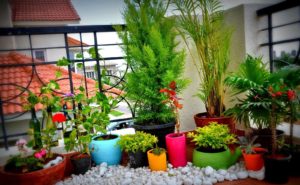 Balcony Garden Ideas For A Beautiful Home Decor