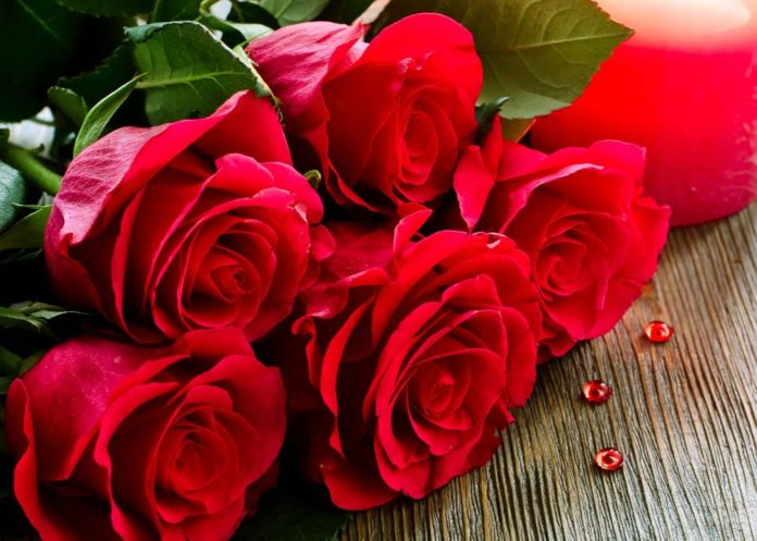 This Rose Day, Match The Color Of Your Rose With Your True Feelings