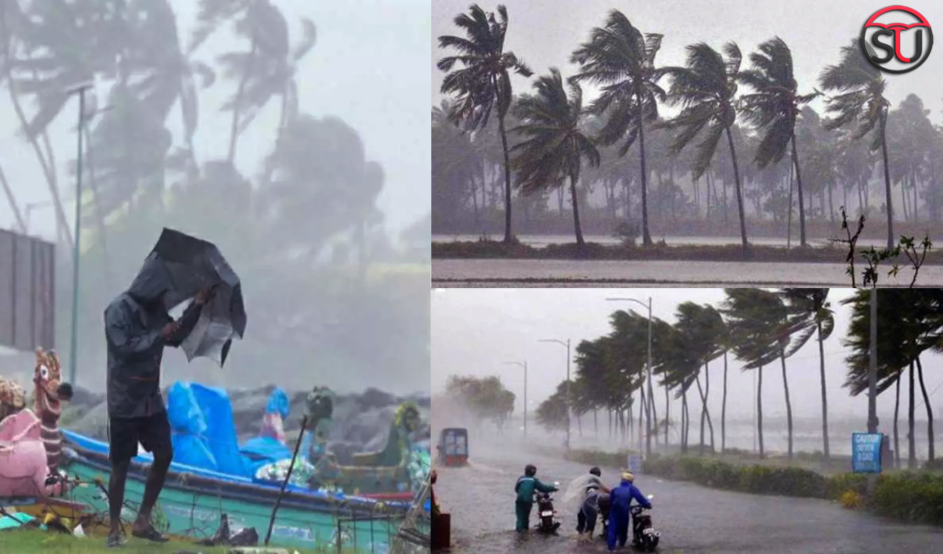 Cyclone Nivar Updates: Tamil Nadu CM Announces Public Holiday In 13 Districts