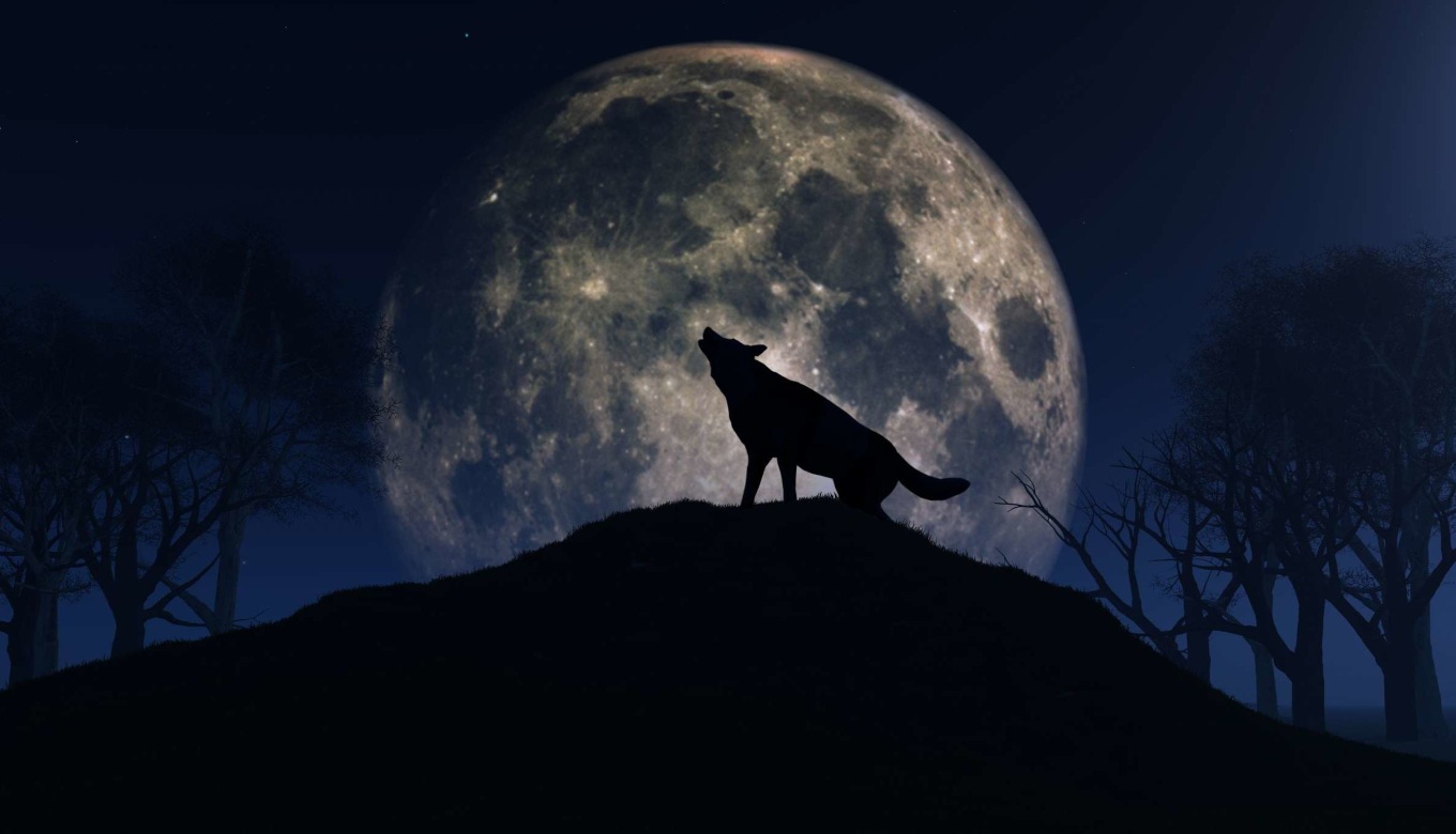 Wolf Moon 2020: Don't Miss The Last Full Moon Of The Year Tonight, See The Timings Here