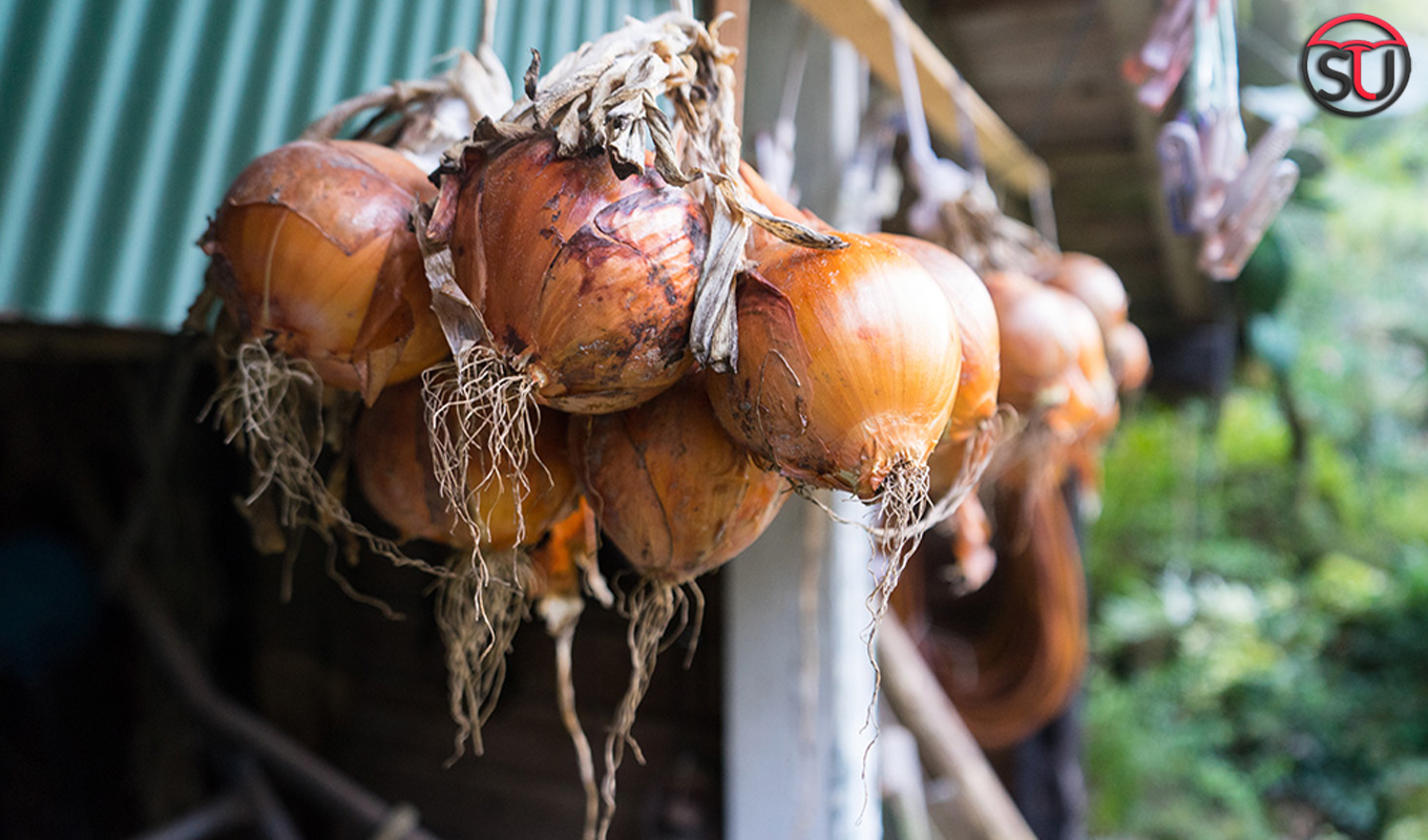 Hanging Onions On The Door Brings Luck, And Good Health! Check More Weird New Year Traditions Here