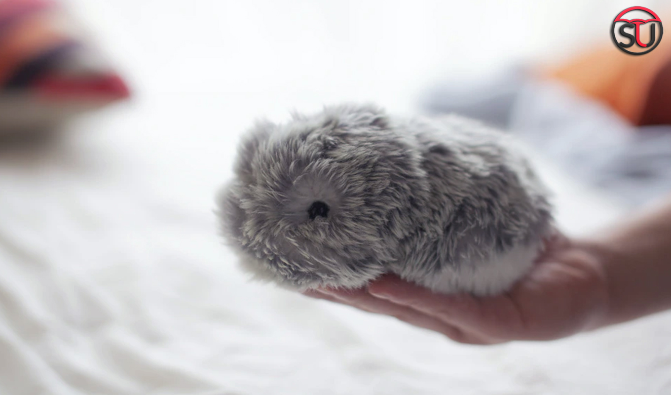 Fall In Love With The World's First AI Pet 'MOFLIN'