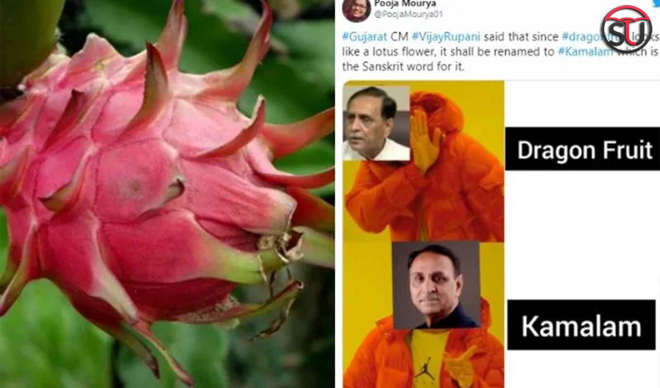 What's Next? Twitteratis Ask Gujarat CM On Renaming Dragon Fruit