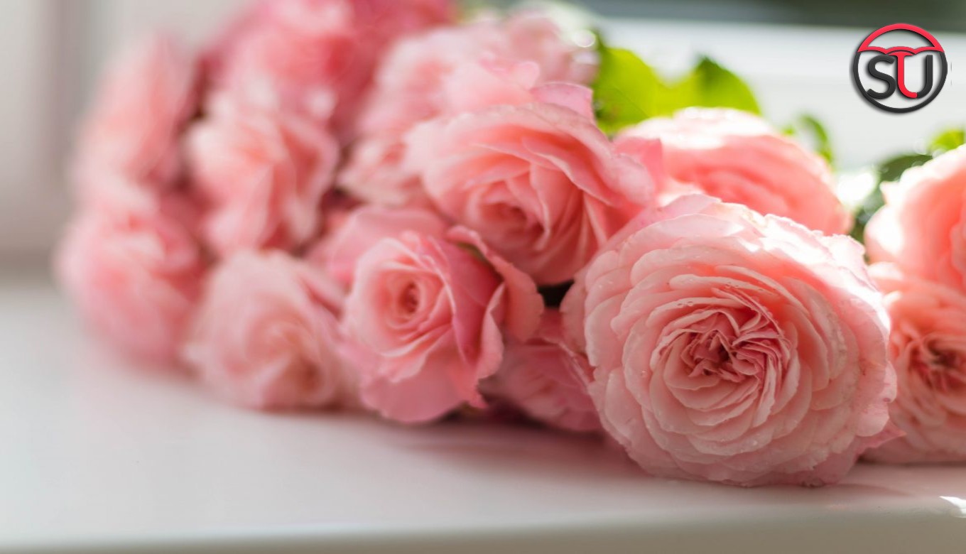This Rose Day Hand Craft Your Love With DIY Rose Bouquet