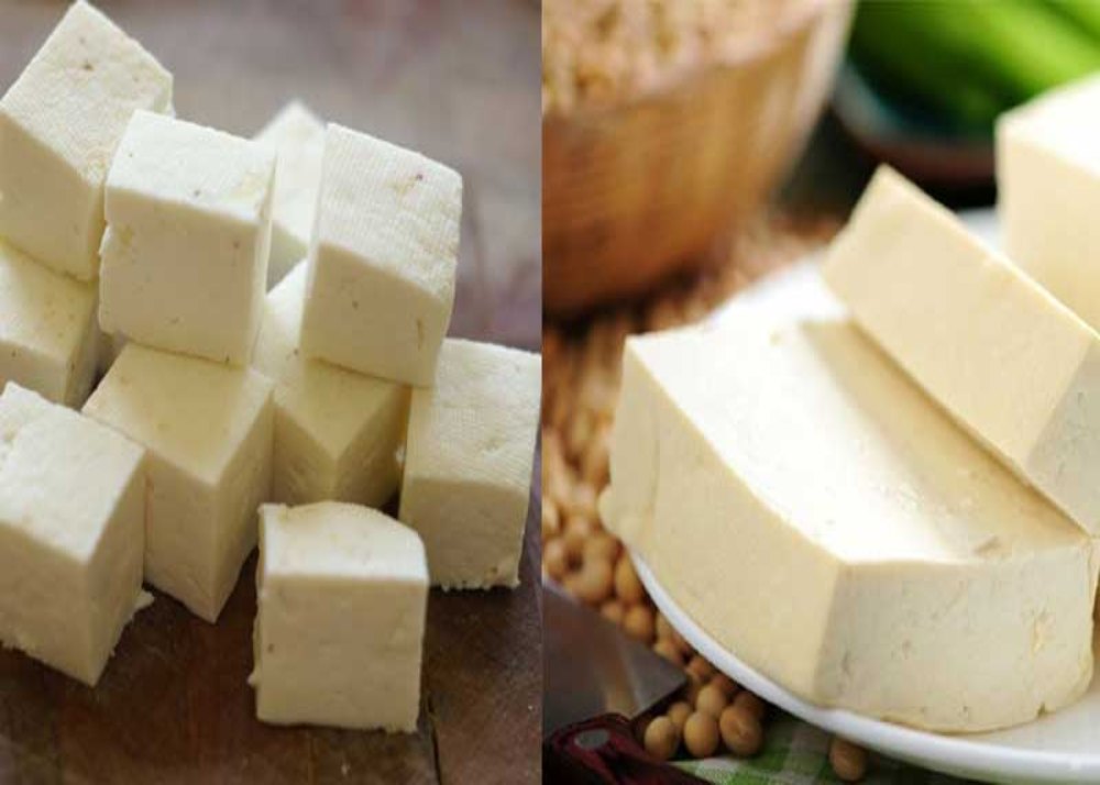 paneer vs tofu
