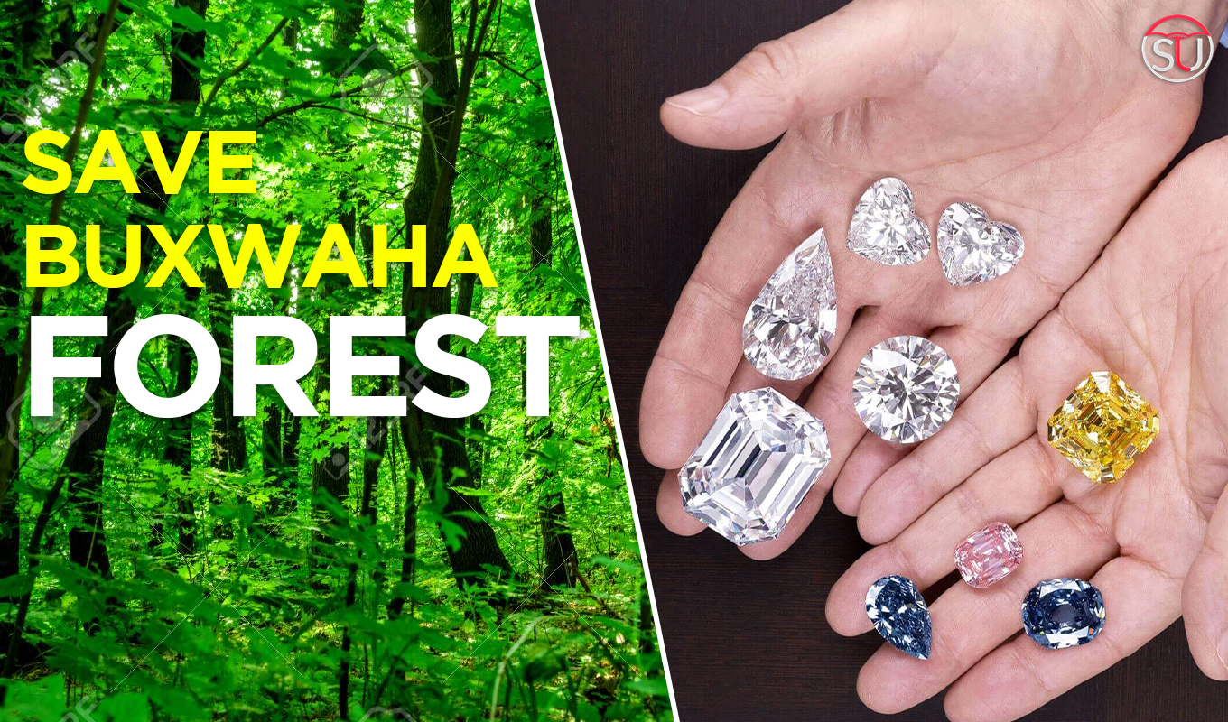 Why Everyone Should Join "Save Buxwaha Forest Campaign"?