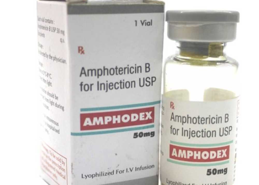 amphotericin b injection