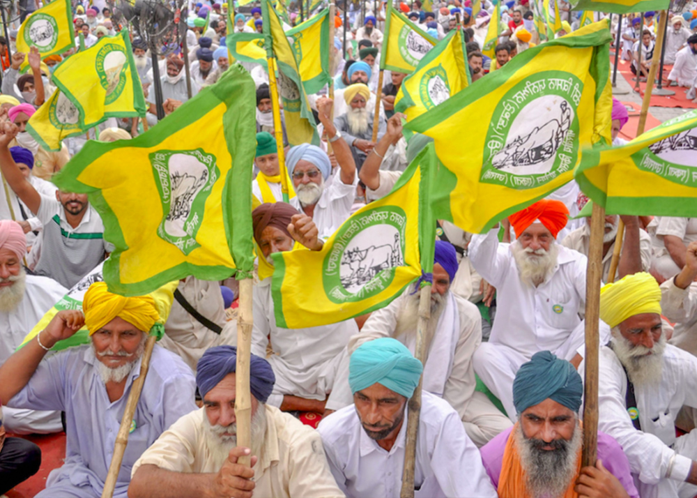 why are indian farmers protesting