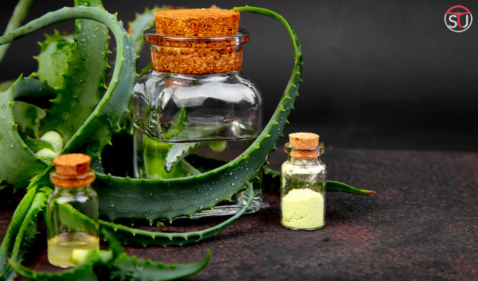 Can We Use Aloe Vera Oil For Hair? Know Its Benefits And Side-Effects