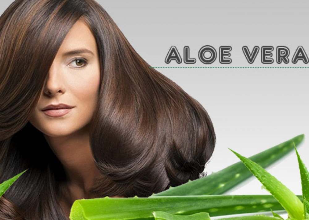 benefits of aloe vera oil