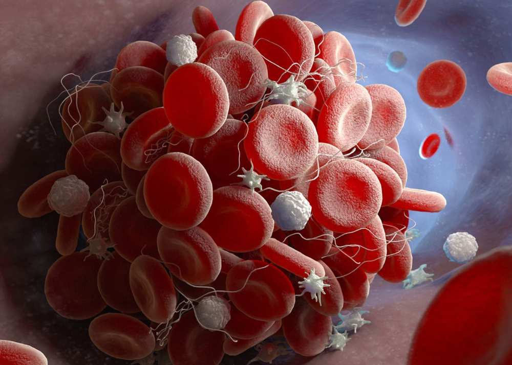 how to increase platelets count 
