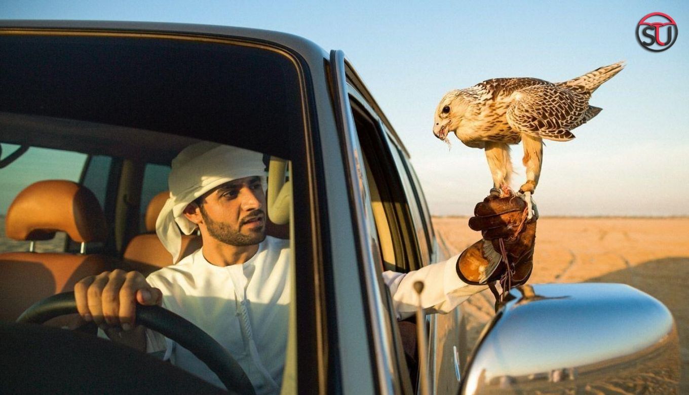 5 Places To Visit In Qatar Where Fun Is Absolutely Free, All Are Worth Visiting!!!
