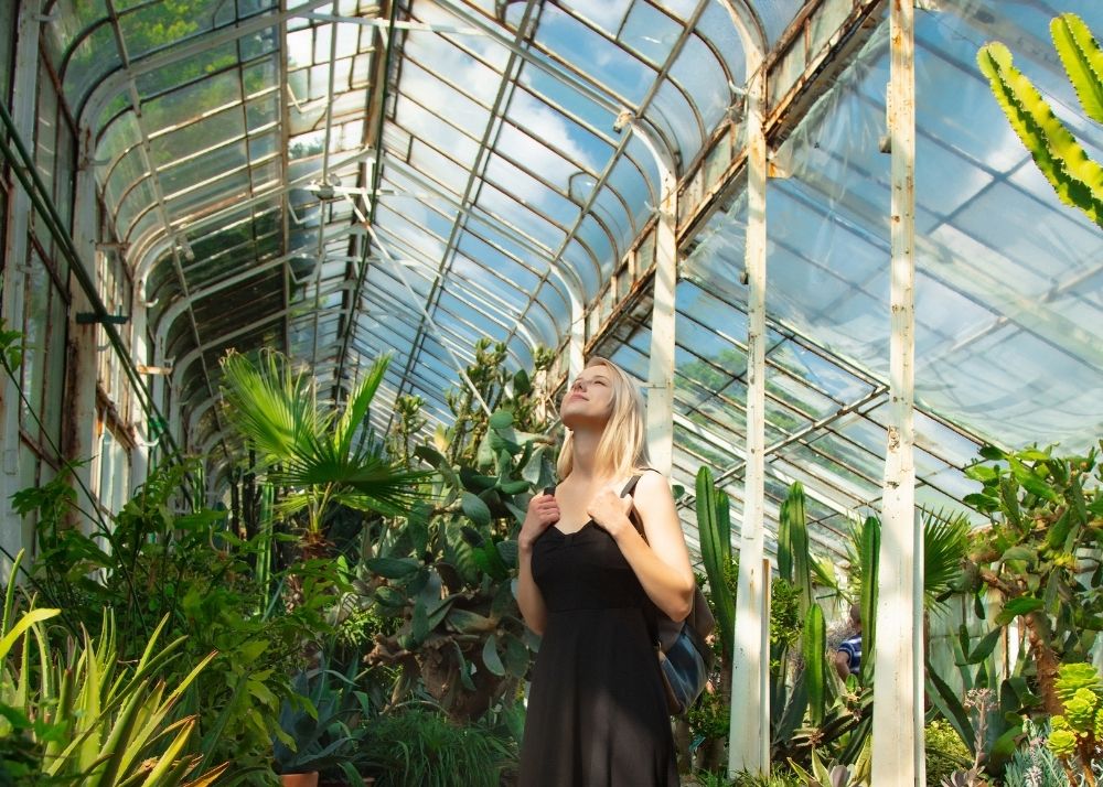 Auckland - botanical garden