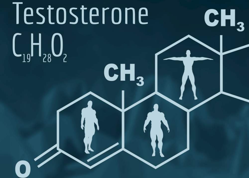 testosterone in women