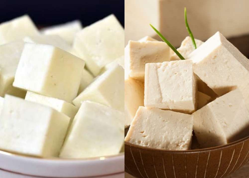 tofu vs paneer