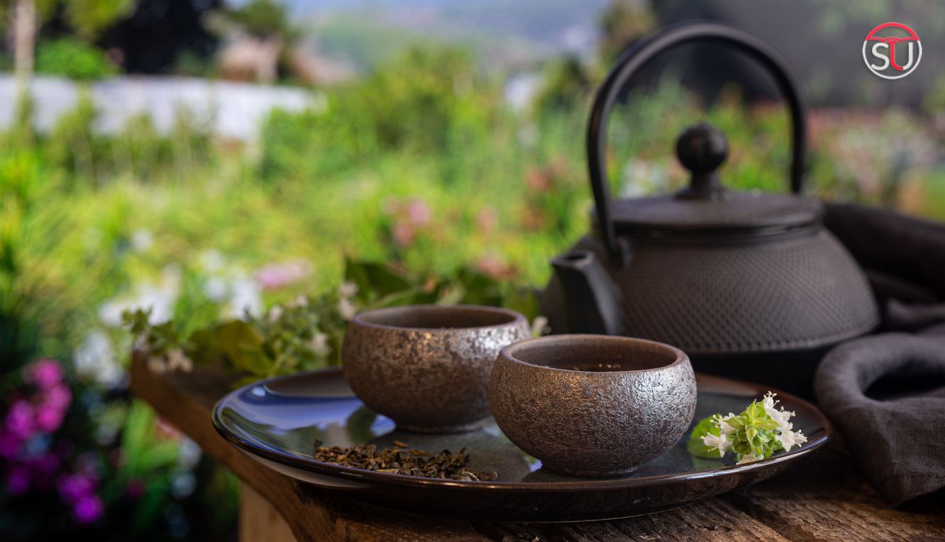 10 Most Expensive Teas in the World