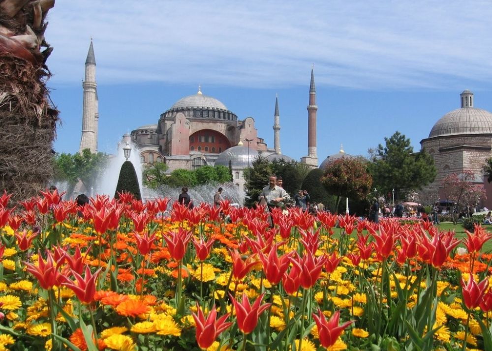 Tulip Is Turkey's National Flower