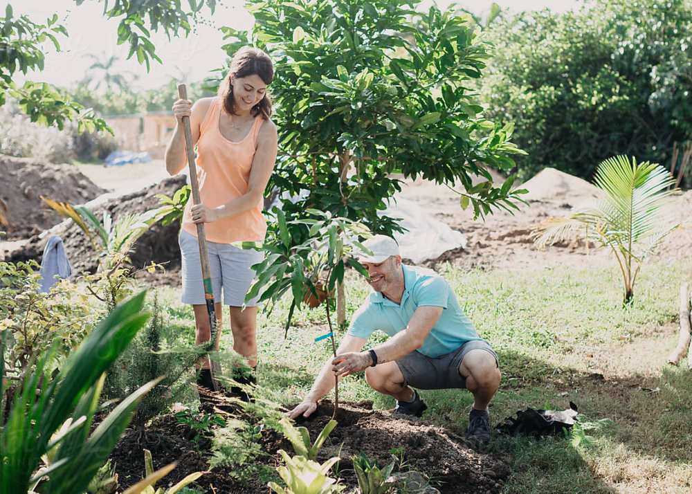 couple planting a tree together