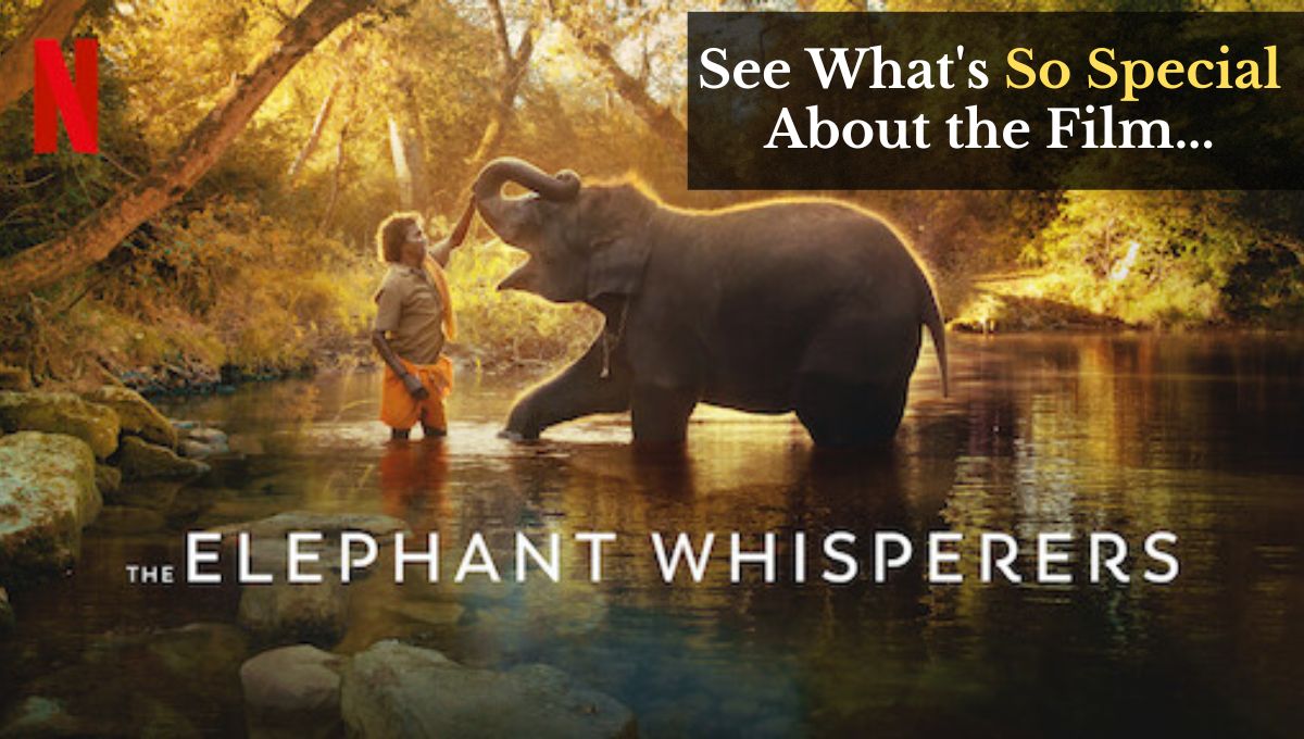 Elephant Whisperers