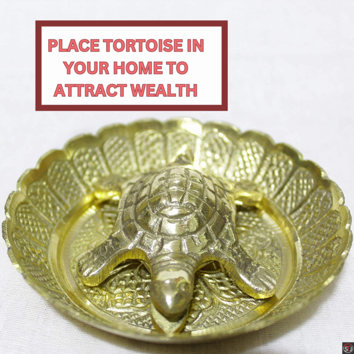 Tortoise placement as per Vastu and Feng shui