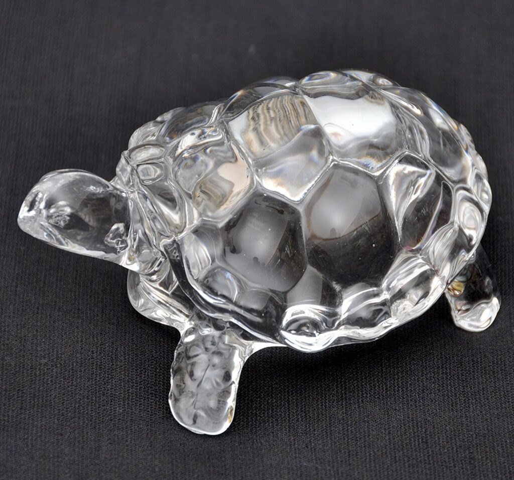 crystal tortoise placement
