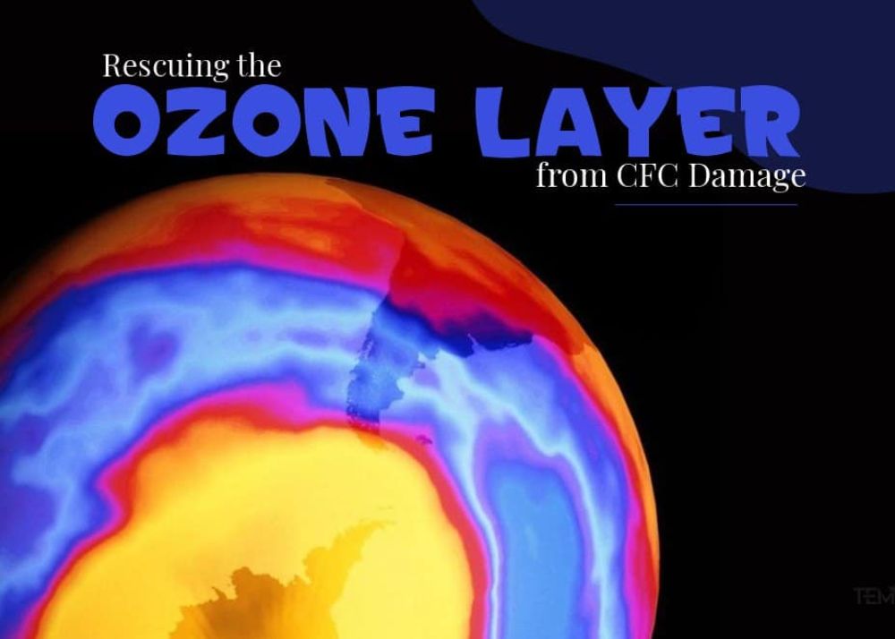 Ozone layer Depleting Chemicals