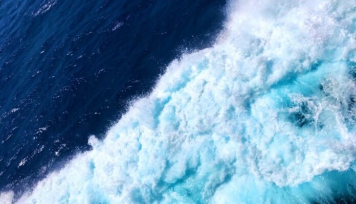Giant Ocean Current have impact on Heat and Carbon Distribution