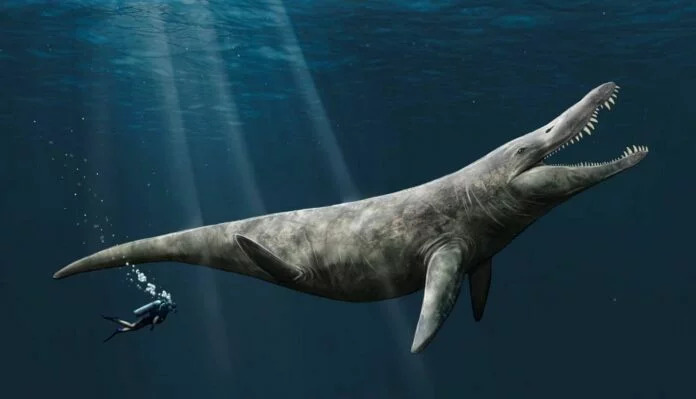 Giant Reptiles Pliosaur of Jurassic Sea Twice the Size of Killer Whale