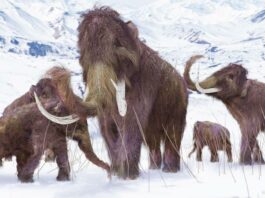 New Climate Model Could Predict the Millions of Years of Ice Age