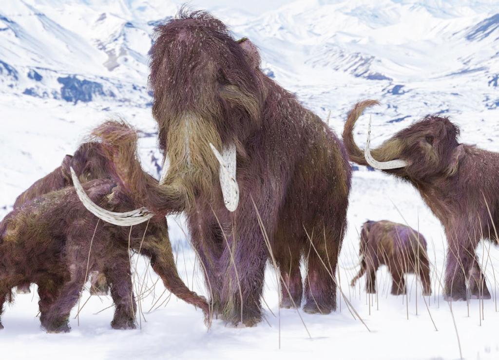 New Climate Model Could Predict the Millions of Years of Ice Age