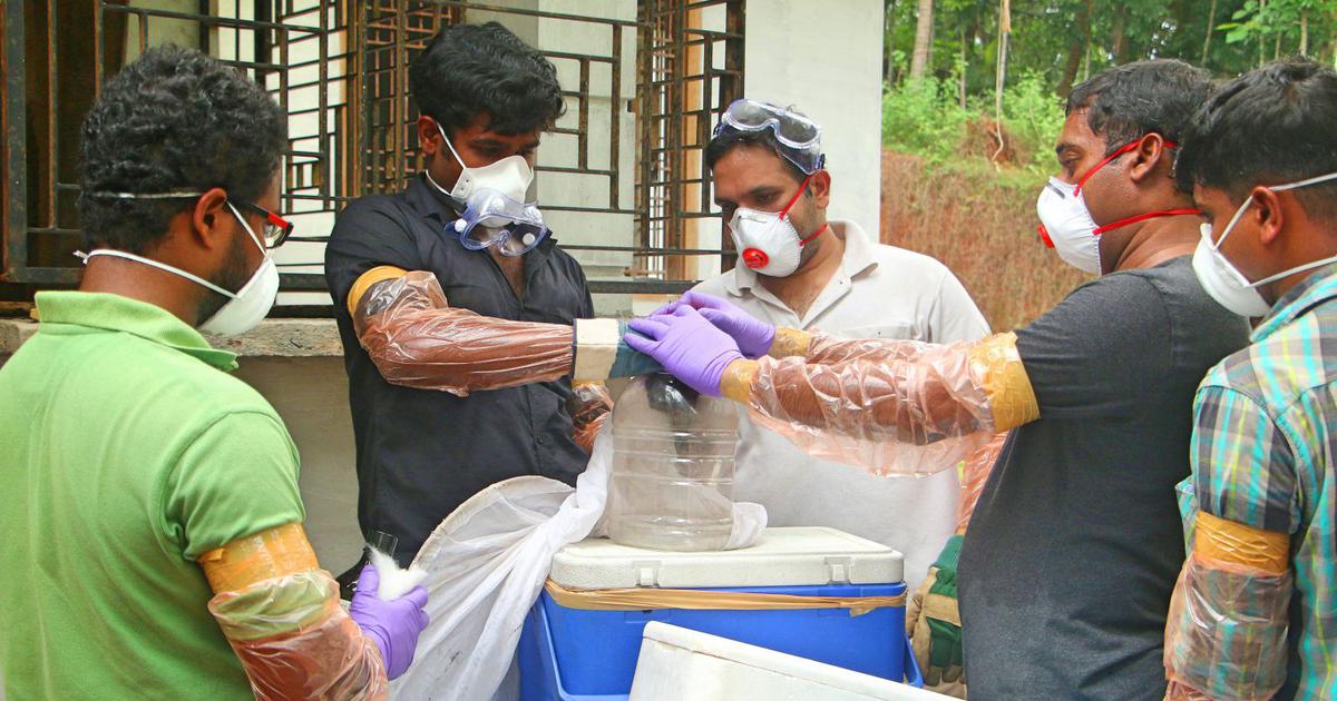 Bangladeshi variant of Nipah Virus found in Kerala