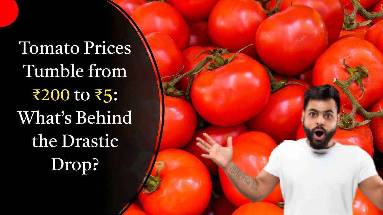 Tomato Prices Tumble from ₹200 to ₹5: What’s Behind the Drastic Drop?