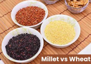 Millet vs Wheat
