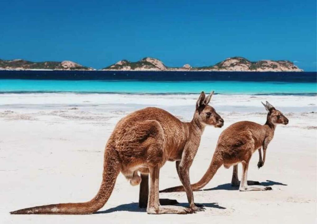 West Coast, Australia
