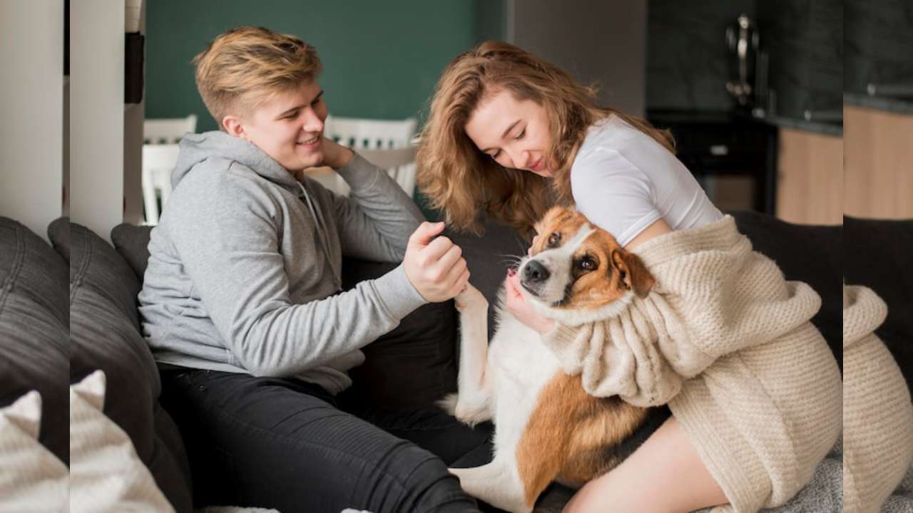 Stress reduction from Pet Parent